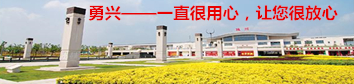 公司新聞