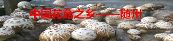 行業(yè)知識(shí)